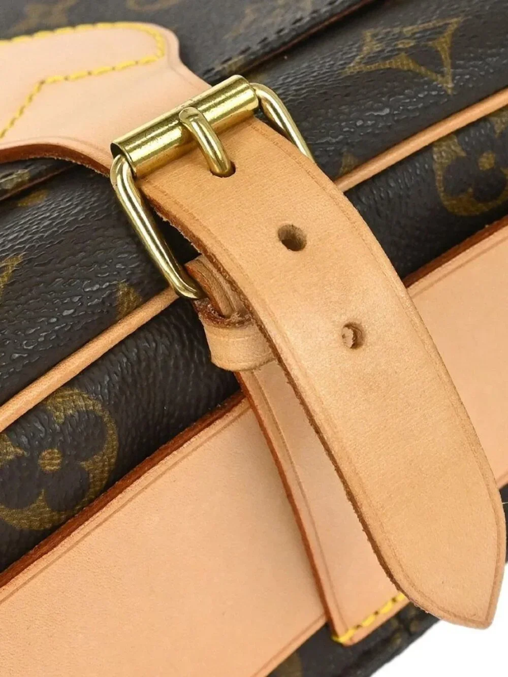 Louis Vuitton Monogram Cartouchiere